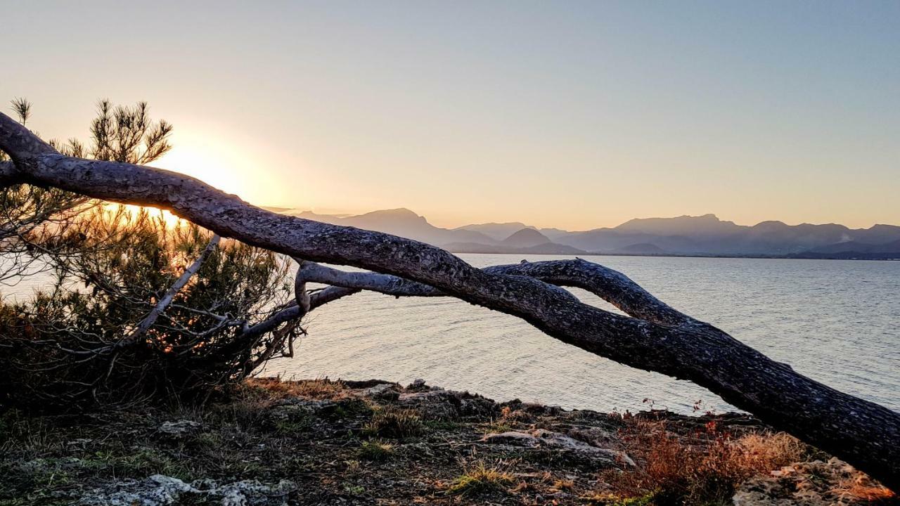 Es Fasser Alcúdia Exterior foto
